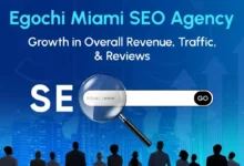 Egocchi Miami SEO Agency