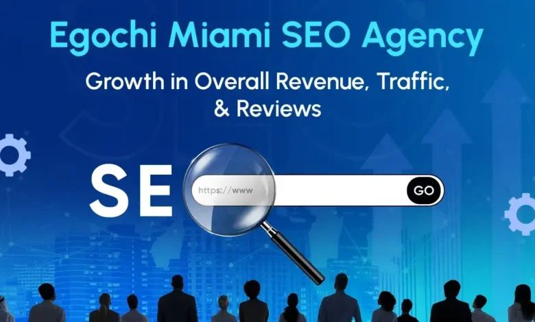 Egocchi Miami SEO Agency